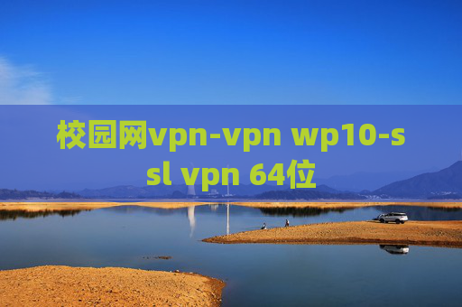 校园网vpn-vpn wp10-ssl vpn 64位