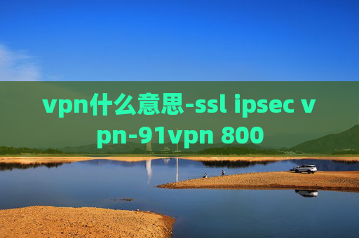 vpn什么意思-ssl ipsec vpn-91vpn 800