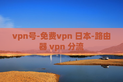 vpn号-免费vpn 日本-路由器 vpn 分流