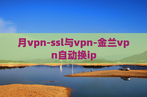 月vpn-ssl与vpn-金兰vpn自动换ip