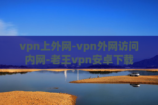 vpn上外网-vpn外网访问内网-老王vpn安卓下载