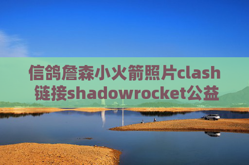 信鸽詹森小火箭照片clash 链接shadowrocket公益节点