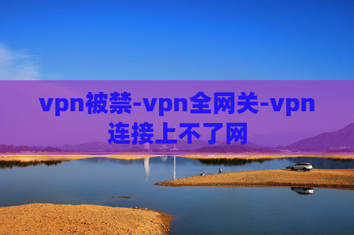 vpn被禁-vpn全网关-vpn连接上不了网