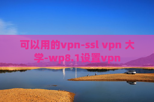 可以用的vpn-ssl vpn 大学-wp8.1设置vpn