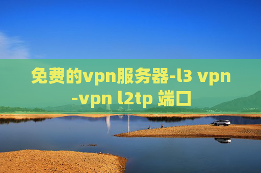 免费的vpn服务器-l3 vpn-vpn l2tp 端口