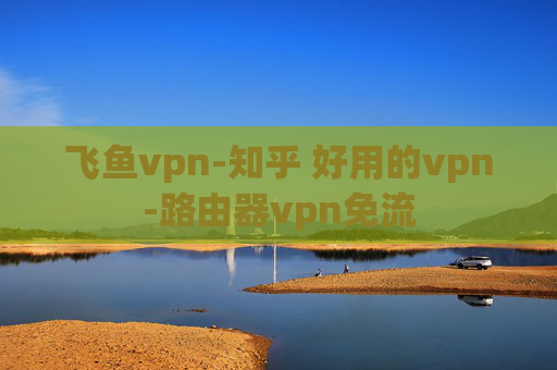 飞鱼vpn-知乎 好用的vpn-路由器vpn免流