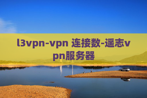 l3vpn-vpn 连接数-遥志vpn服务器