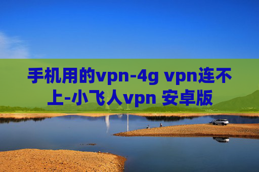 手机用的vpn-4g vpn连不上-小飞人vpn 安卓版