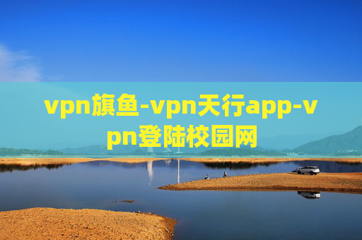 vpn旗鱼-vpn天行app-vpn登陆校园网