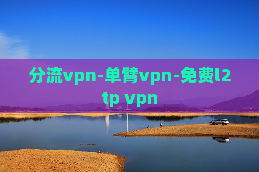 分流vpn-单臂vpn-免费l2tp vpn