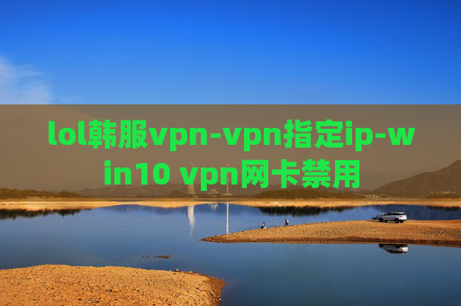 lol韩服vpn-vpn指定ip-win10 vpn网卡禁用