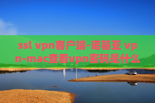 ssl vpn客户端-诺基亚 vpn-mac查看vpn密码是什么软件