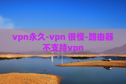 vpn永久-vpn 很慢-路由器不支持vpn