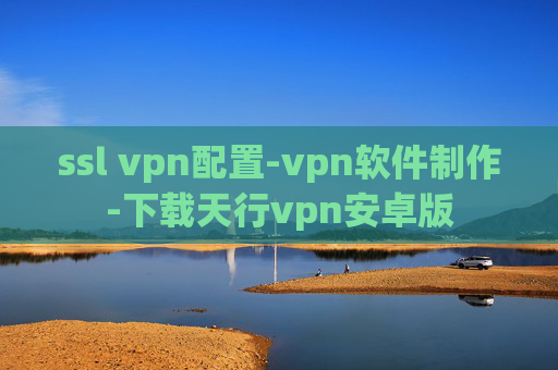 ssl vpn配置-vpn软件制作-下载天行vpn安卓版