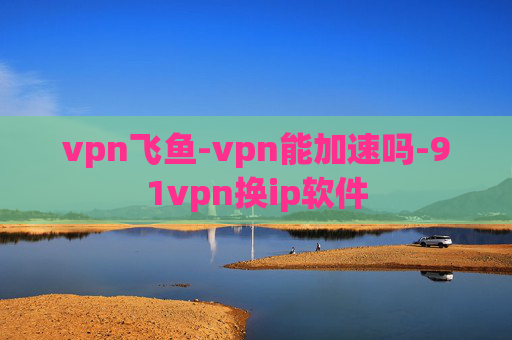 vpn飞鱼-vpn能加速吗-91vpn换ip软件