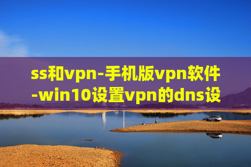 ss和vpn-手机版vpn软件-win10设置vpn的dns设置