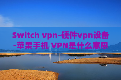 Switch vpn-硬件vpn设备-苹果手机 VPN是什么意思