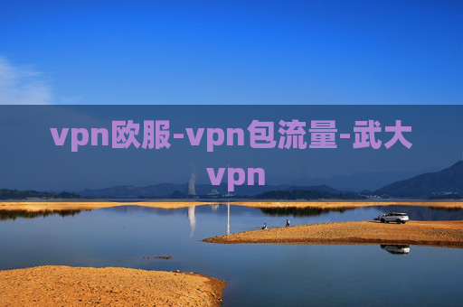 vpn欧服-vpn包流量-武大 vpn