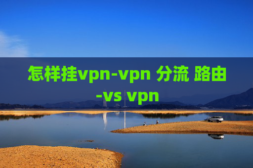 怎样挂vpn-vpn 分流 路由-vs vpn