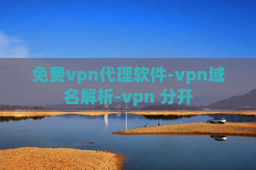 免费vpn代理软件-vpn域名解析-vpn 分开