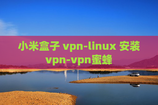 小米盒子 vpn-linux 安装vpn-vpn蜜蜂