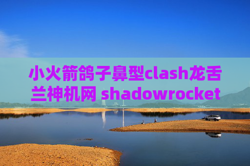 小火箭鸽子鼻型clash龙舌兰神机网 shadowrocket