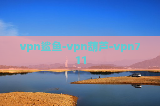 vpn鲨鱼-vpn葫芦-vpn711