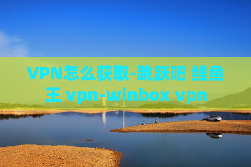 VPN怎么获取-跳跃吧 鲤鱼王 vpn-winbox vpn